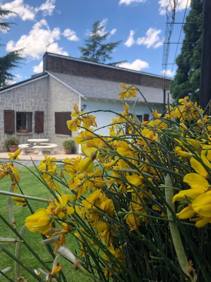 Villa Aurelia - Casa De Campo Con Jardin Y Piscina Entre Madrid Y Segovia Ortigosa del Monte Bagian luar foto
